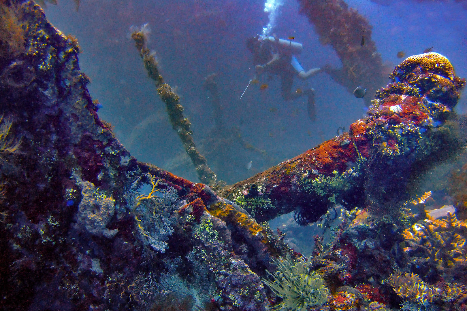 Diving at the USAT Liberty