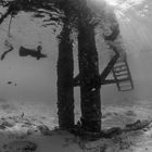 Diving Curacao