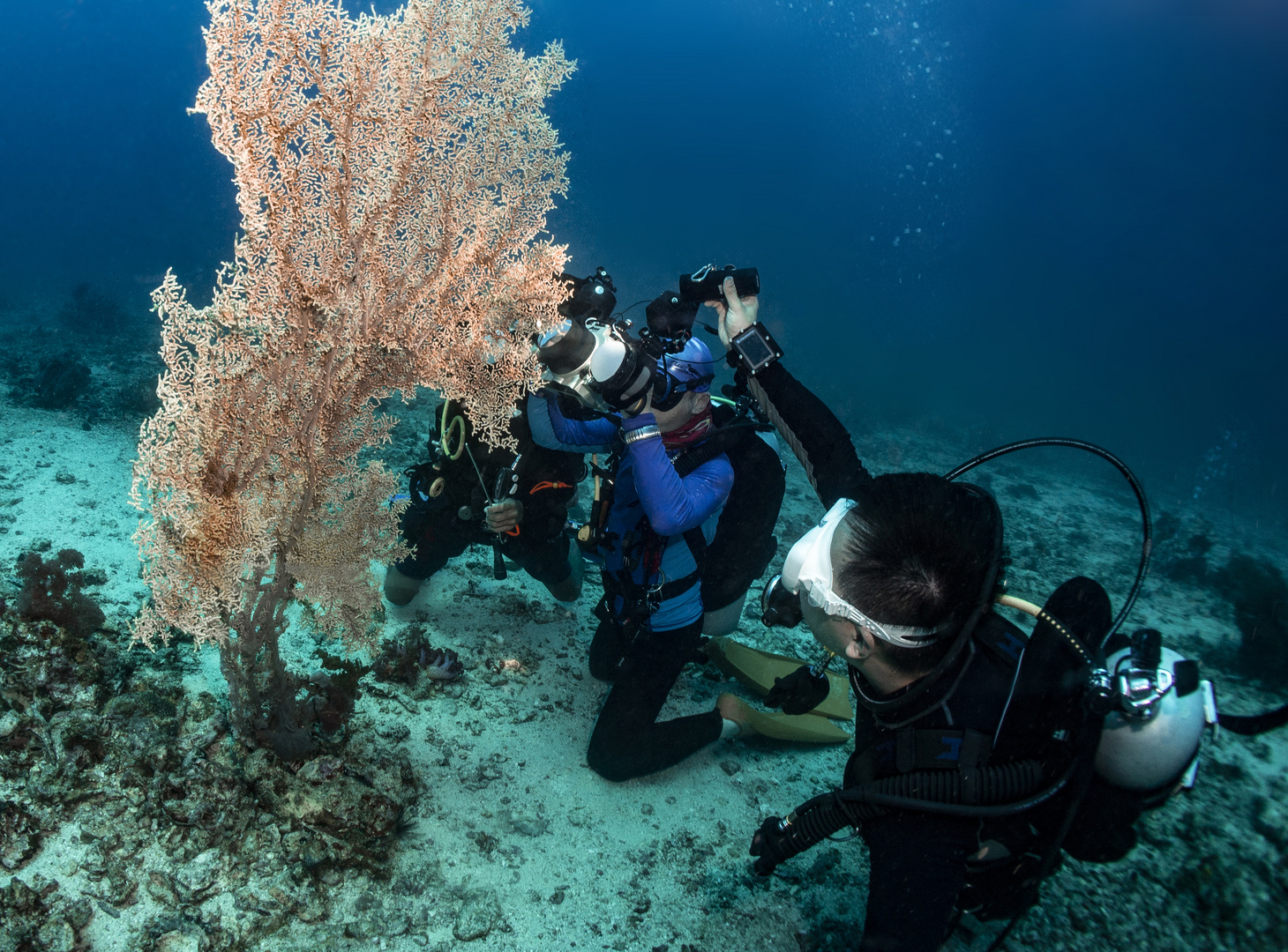 diving photograph