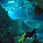 Diving the Cenotes