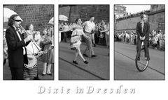 Dixie in Dresden