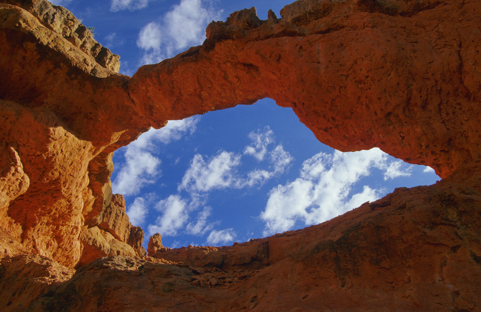 Dixie National Forest, Red Caynon, Utah