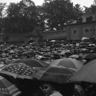 Dixielandfestival in Dresden