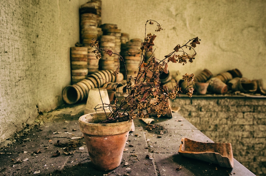 DIY Herbstdeko leicht gemacht