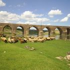 Diyarbakir-OnGozluKopru-Bridge-2005-04-29