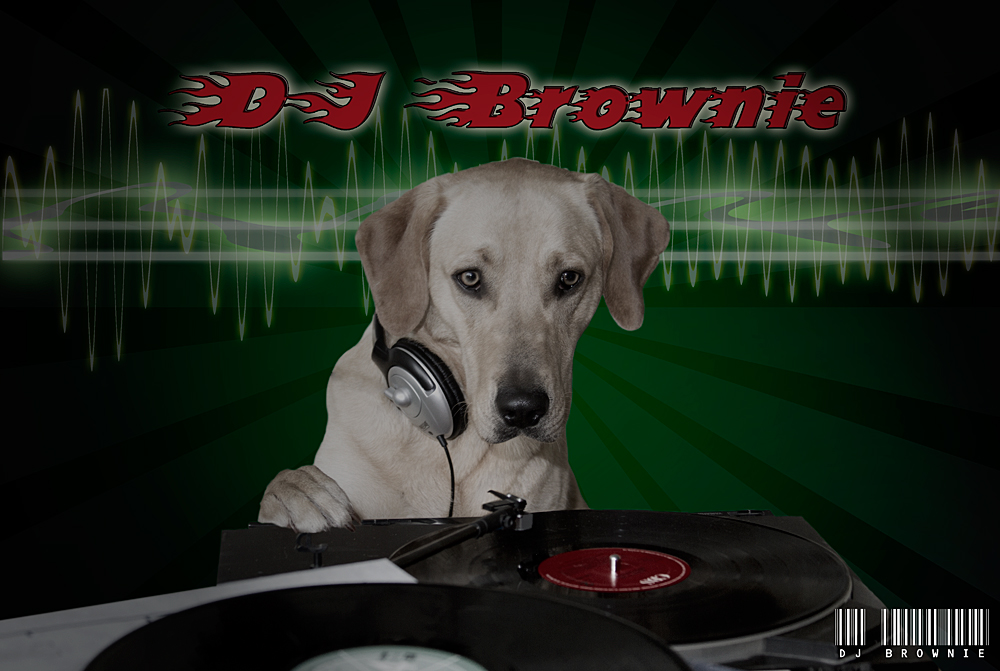 DJ Brownie