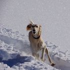 Djadi im Hochgebirge_01