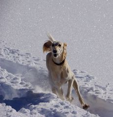 Djadi im Hochgebirge_01