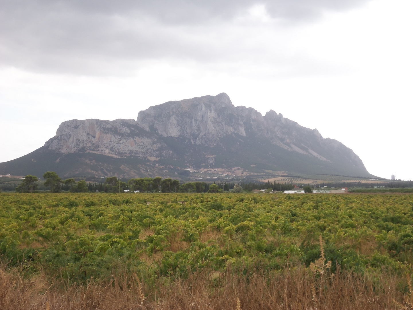 Djebel Ressas 1 (Tunisie)