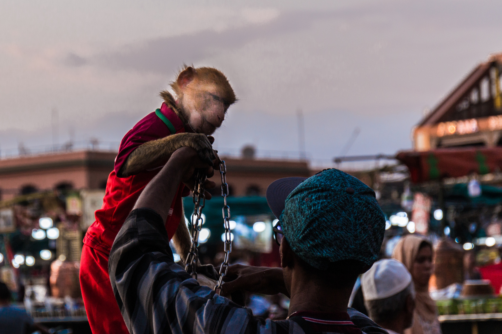 Djemaa el Fna Foto & Bild street, world, affen Bilder auf
