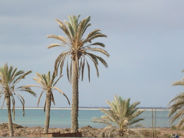 Djerba