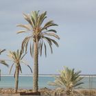 Djerba