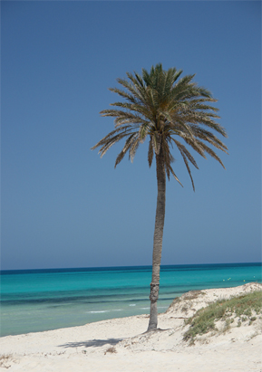 djerba beach