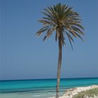 djerba beach