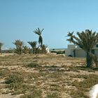 Djerba