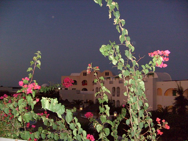 Djerba-Impressionen