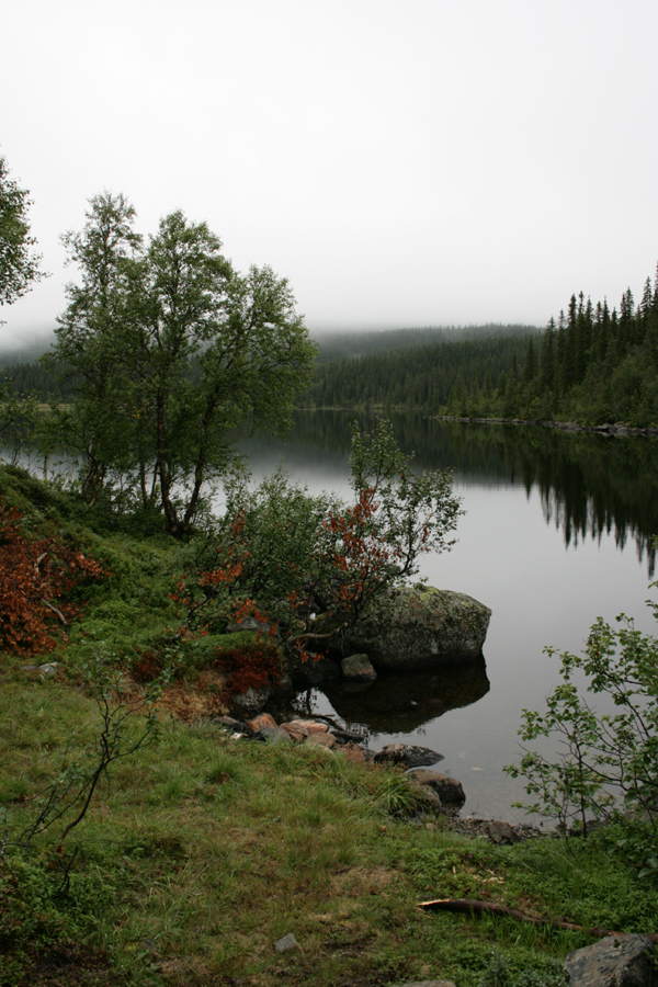 Djupvattnet im Nebel