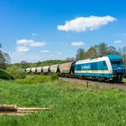 DLB alexa - Getreidezug im Elstertal