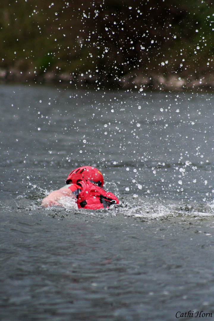 DLRG Rettungsschwimmer