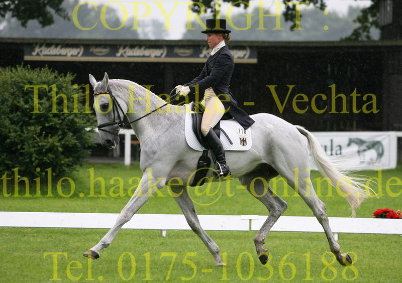 DM + CIC 3* - Schenefeld