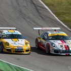 DMV GTC Auftakt in Hockenheim - "Rennaction" Porsche vs. Porsche