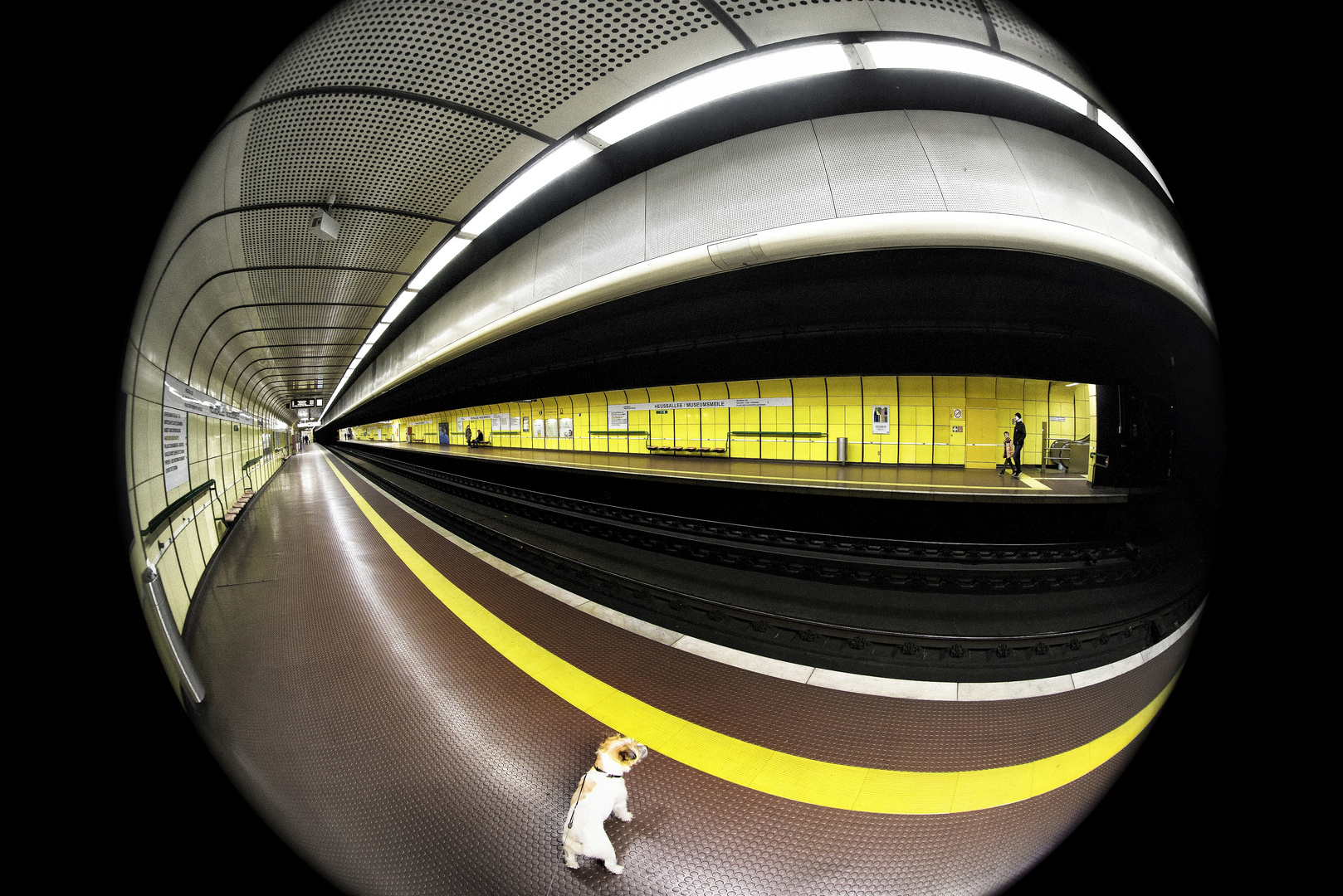 Do not cross the yellow line or the subway monster will swallow you!