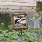 do not feed wild alligators