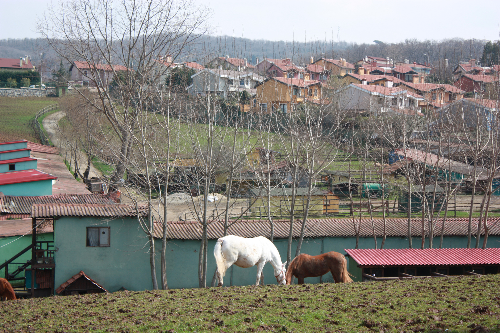 do&#287;a ve hara