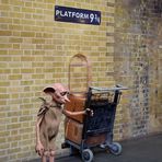 Dobby at Platform 9 3/4