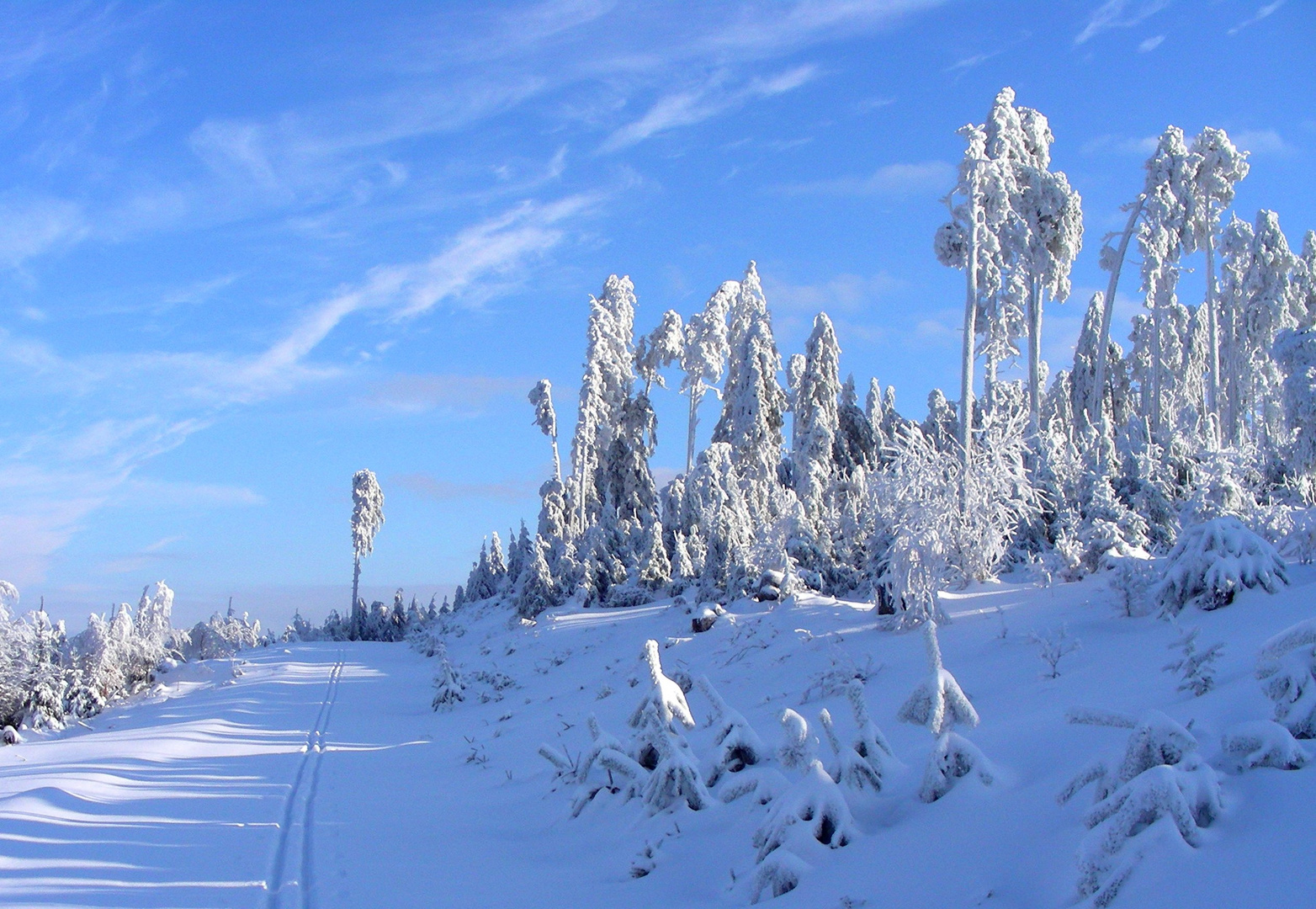 Dobel, Nordschwarzwälder Winterwunder