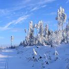 Dobel, Nordschwarzwälder Winterwunder