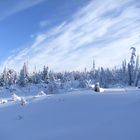 Dobel, Nordschwarzwald, nicht in Alaska