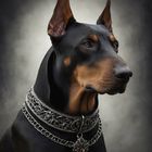 Doberman