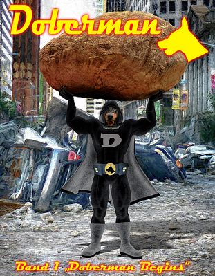 Doberman Begins
