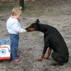 Dobermann mit Kleinkind