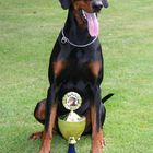 Dobermann Nixon