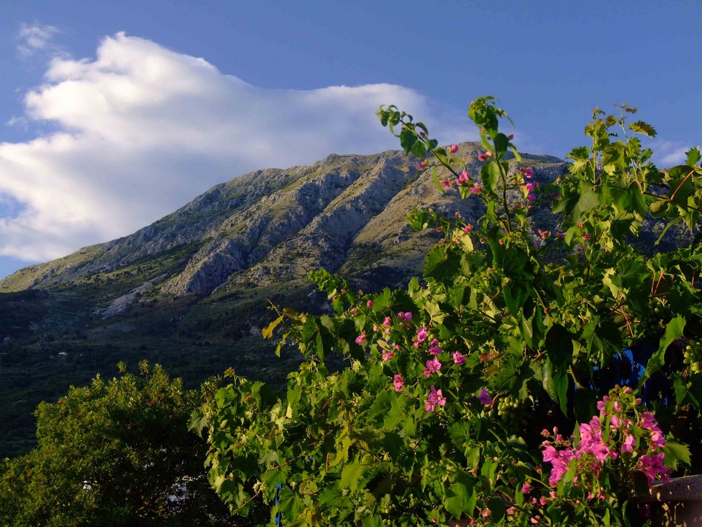 Dobre Vode / Montenegro