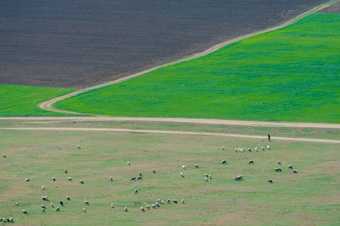 Dobrogea, Romania