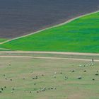 Dobrogea, Romania