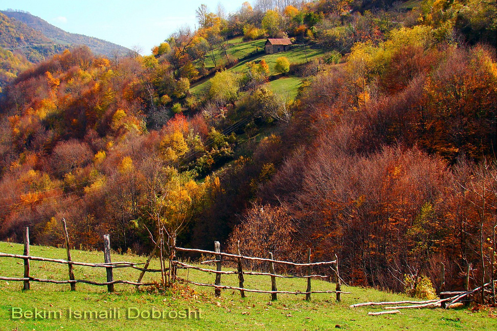 Dobrosht Tetova