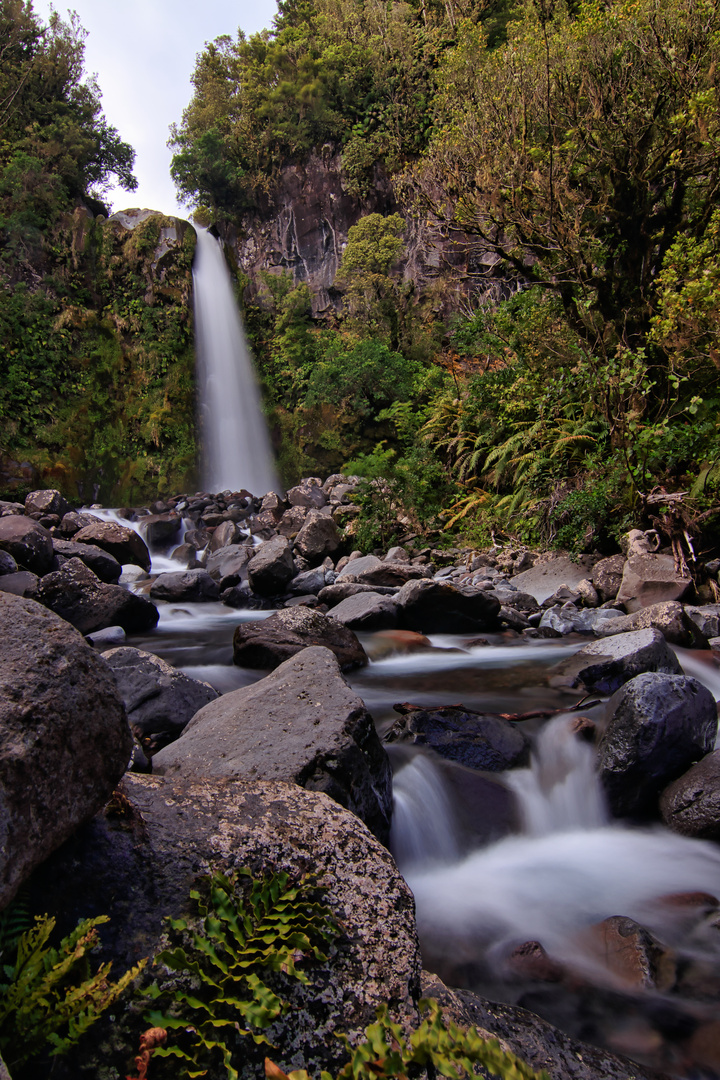 Dobson Falls - Taranaki