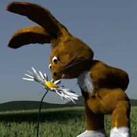 Doc Rabbit
