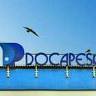 DOCAPESCA