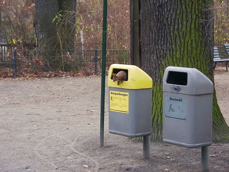 Doch der falsche Mülleimer