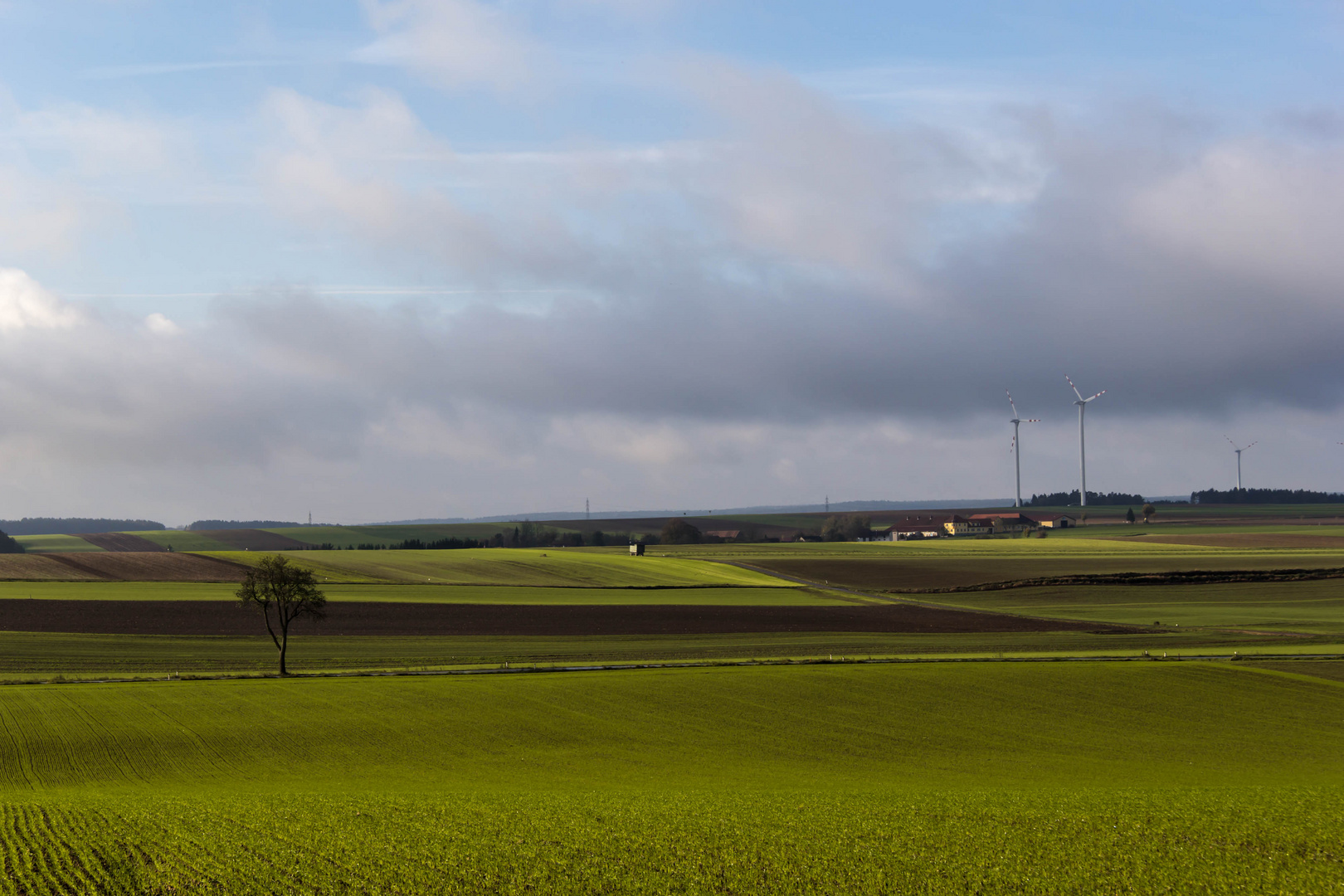 ...doch, doch, es heißt WALDviertel...