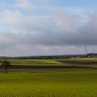 ...doch, doch, es heißt WALDviertel...