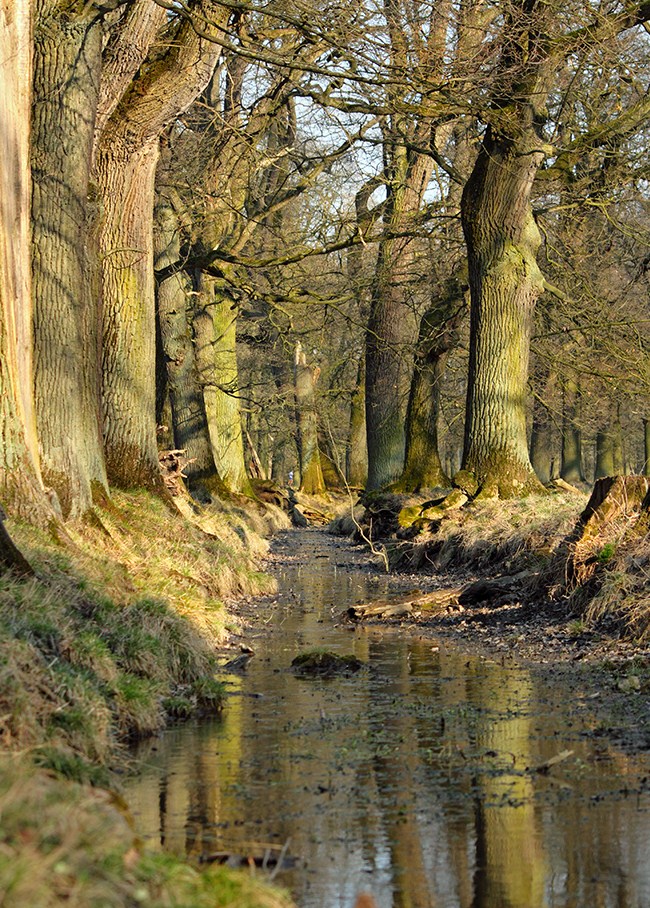 Doch, doch - es ist Frühling,