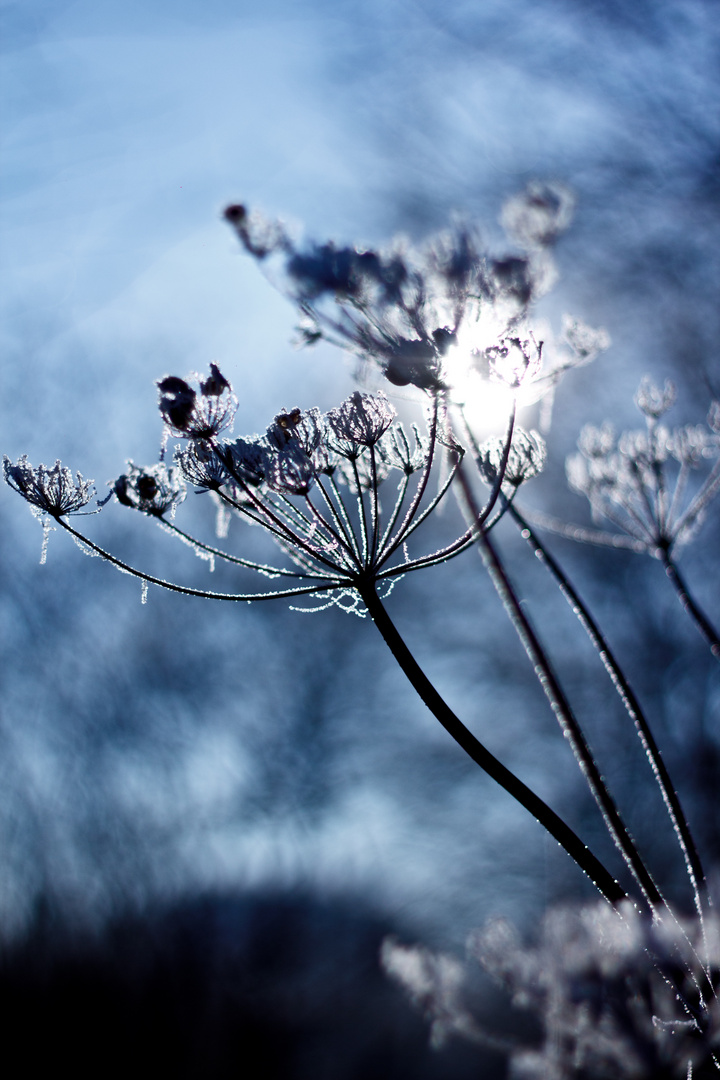 Doch ein bischen Winter