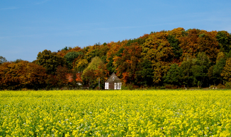 doch, es ist Herbst