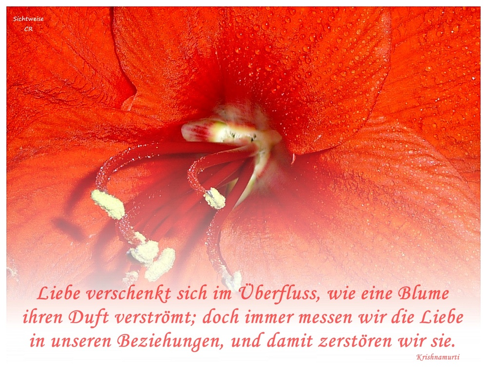 . .. doch immer messen wir die Liebe . . .